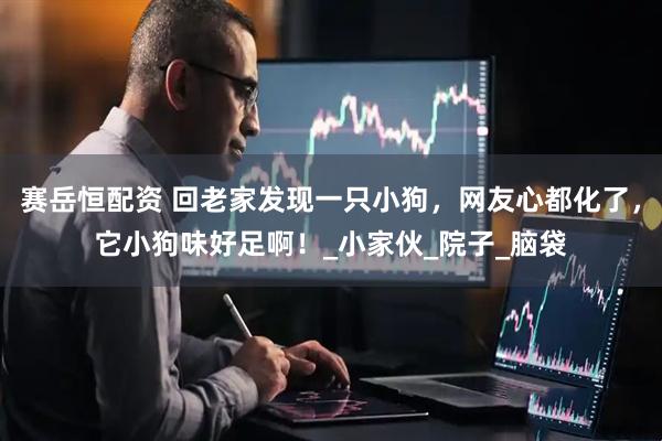 赛岳恒配资 回老家发现一只小狗，网友心都化了，它小狗味好足啊！_小家伙_院子_脑袋