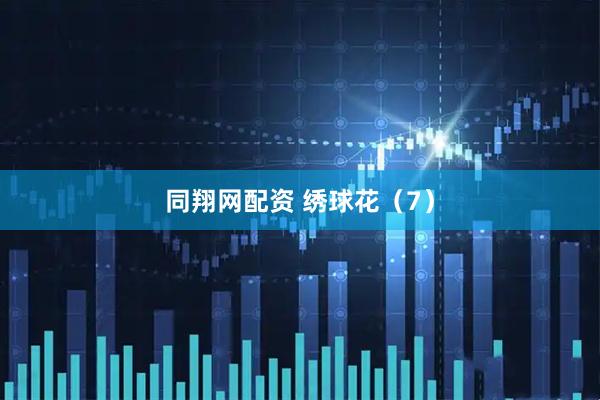 同翔网配资 绣球花（7）