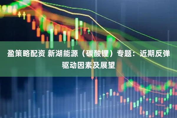 盈策略配资 新湖能源（碳酸锂）专题：近期反弹驱动因素及展望