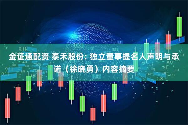 金证通配资 泰禾股份: 独立董事提名人声明与承诺（徐晓勇）内容摘要