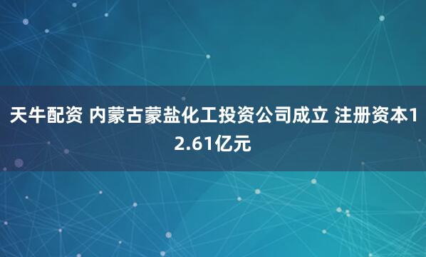 天牛配资 内蒙古蒙盐化工投资公司成立 注册资本12.61亿元